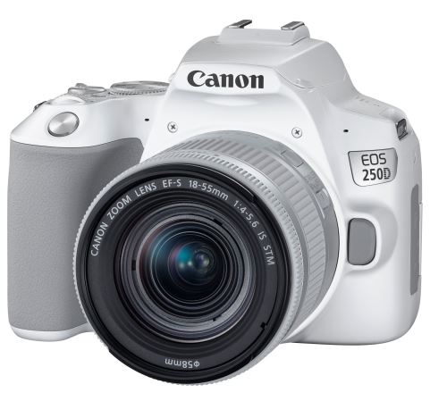 Canon - EOS 250D Blanc + EF-S 18-55 IS STM Silver