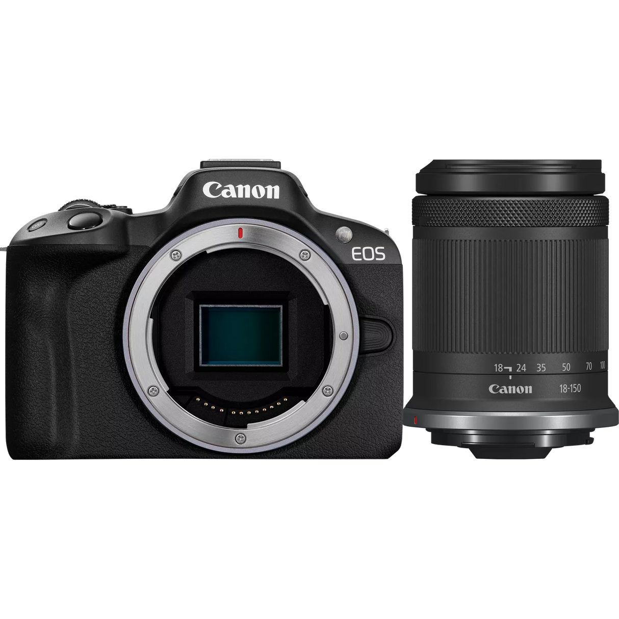 Canon EOS R50