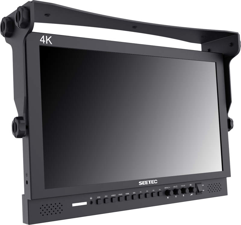 FEELWORLD - P173-9HSD MONITEUR 17.3"