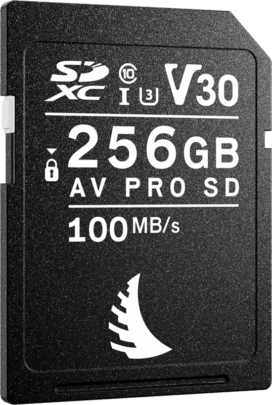 Carte SD AV PRO UHS-II 256GB V30