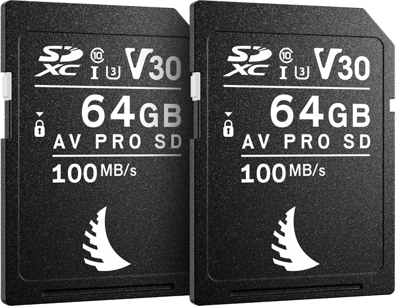 Angelbird MatchPack for Canon AV PRO SD V30 64 GB | 2 PACK