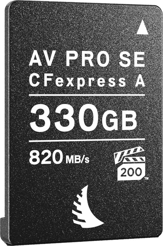 Carte CFexpress SE Type A 330GB