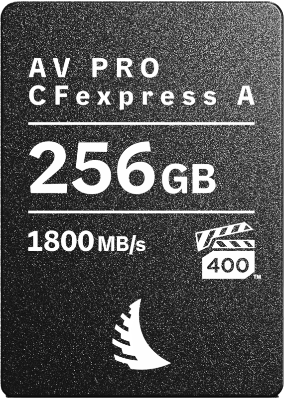 Carte CFexpress AV PRO Type A 256GB