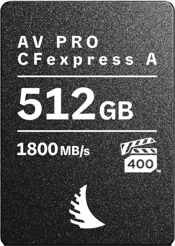 Carte CFexpress AV PRO Type A 512GB