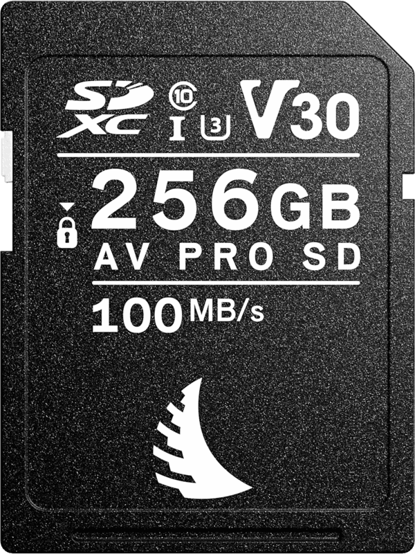 Carte SD AV PRO UHS-II 256GB V30