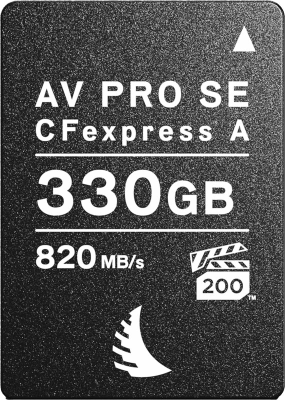 Carte CFexpress SE Type A 330GB