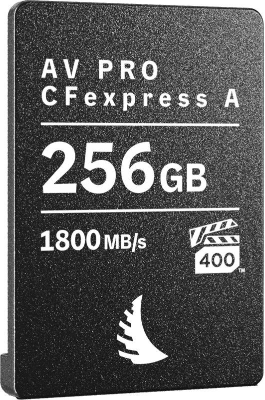 Carte CFexpress AV PRO Type A 256GB