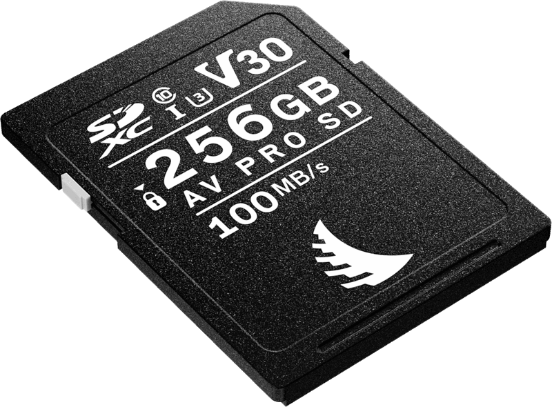 Carte SD AV PRO UHS-II 256GB V30