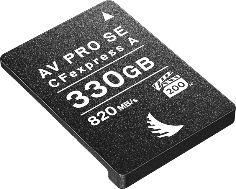 Carte CFexpress SE Type A 330GB