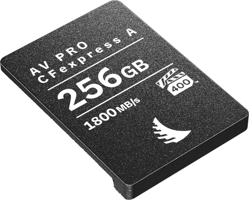 Carte CFexpress AV PRO Type A 256GB