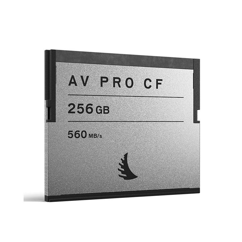 Carte Cfexpress AV PRO SE Type B 256GB