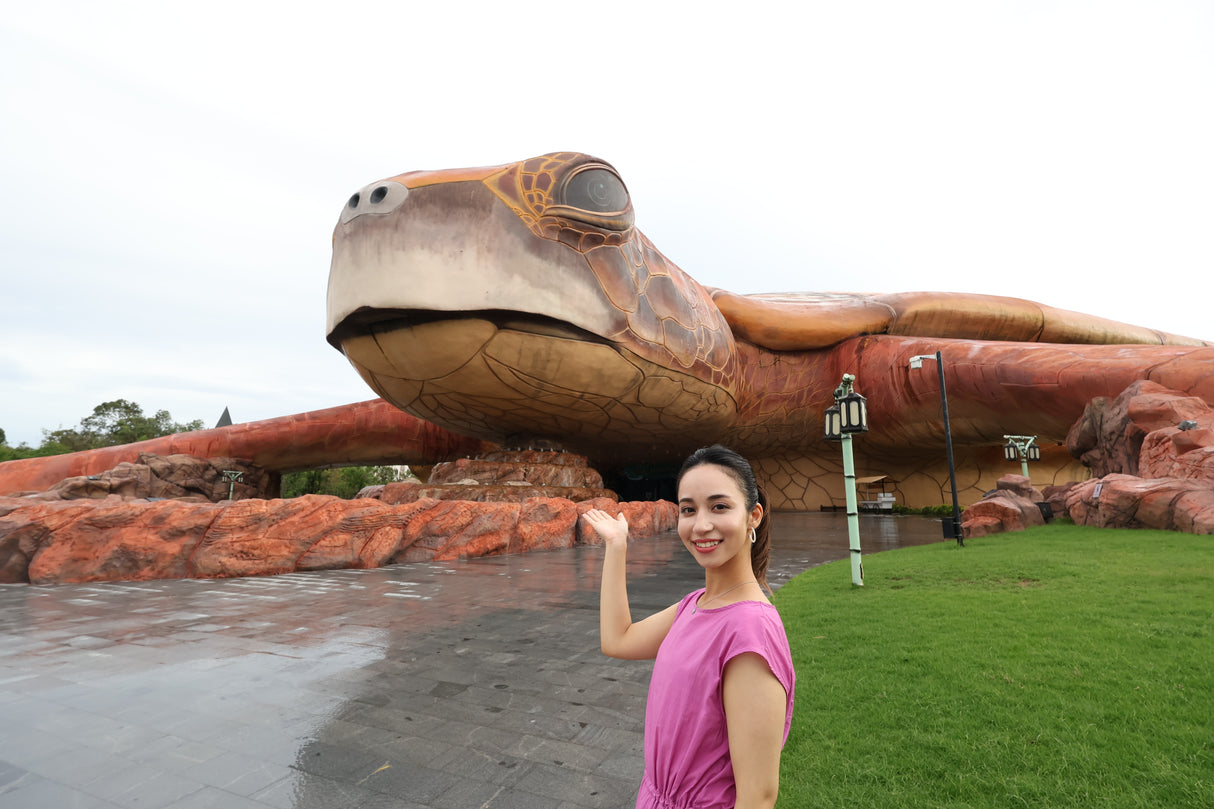 Canon RF-S 10–18 mm f/4,5–6,3 IS STM