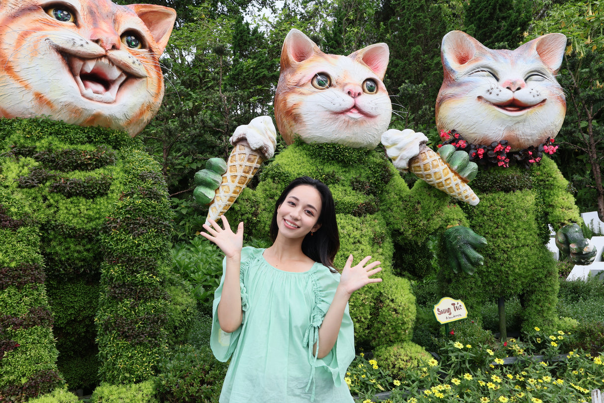 Canon RF-S 10–18 mm f/4,5–6,3 IS STM