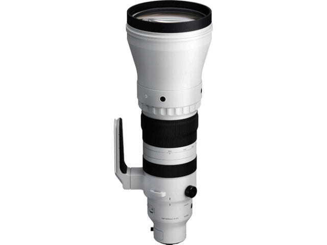 Sigma 300-600mm f/4 DG OS Sports monture L