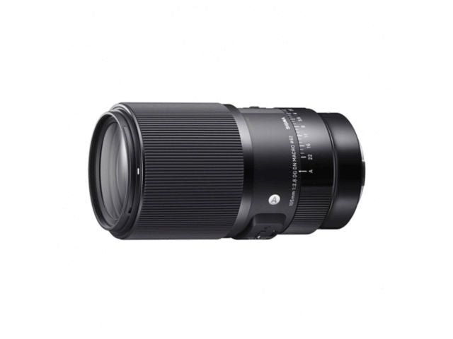 Sigma 105mm f/2.8 DG DN Macro Art monture Sony E