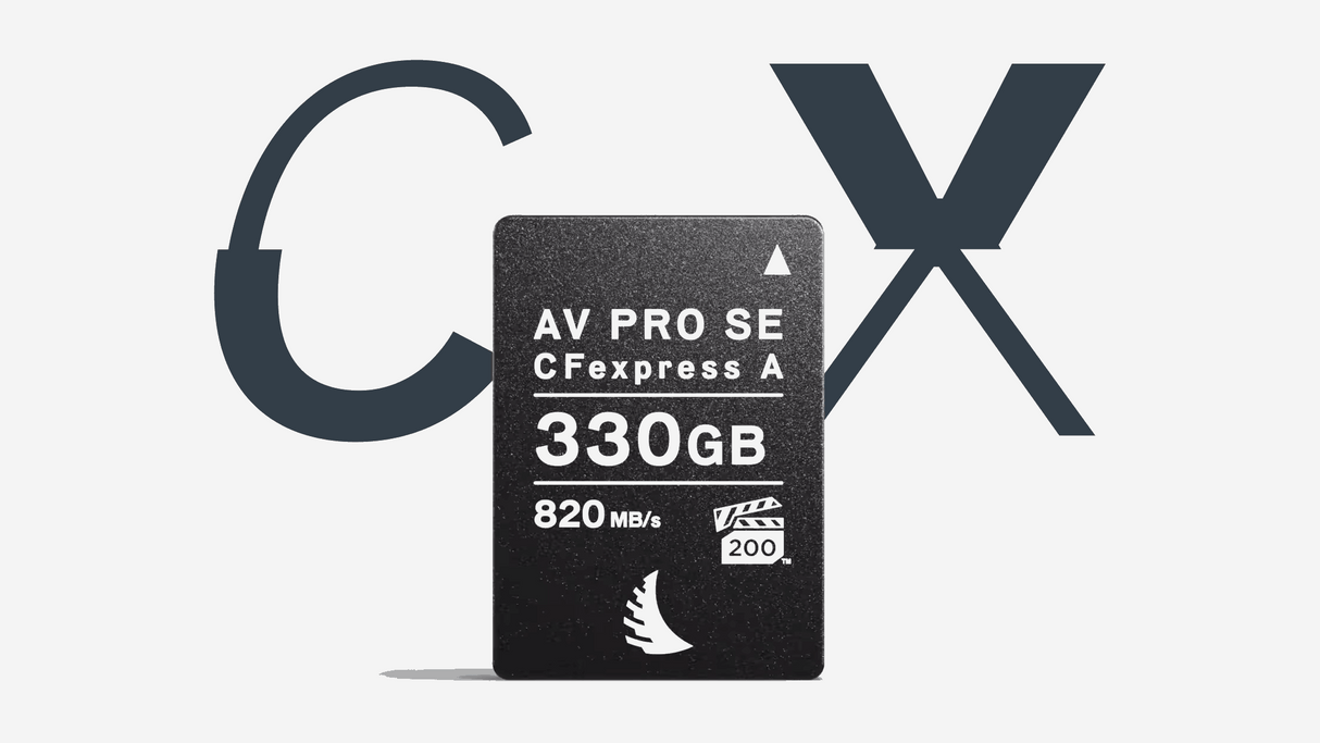 Carte CFexpress SE Type A 330GB