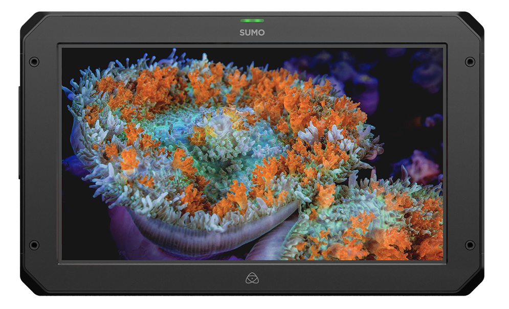 Atomos Sumo 19 SE Moniteur/Enregistreur/mélangeur 19'' - HDR