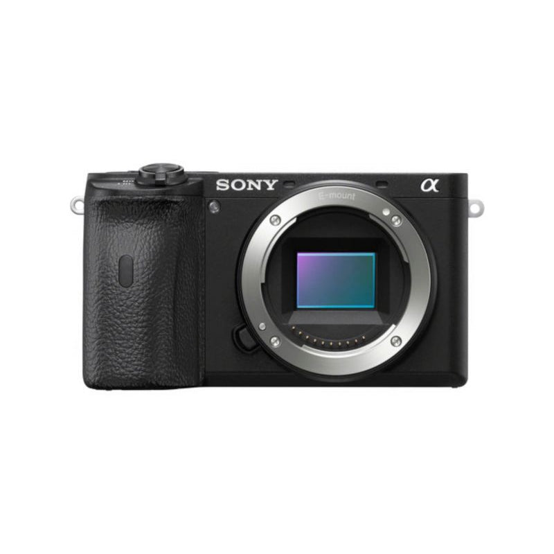 Sony Alpha A6600 Mirrorless Camera (Body Only)