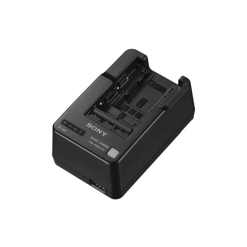 Sony BCQM1 Battery Charger