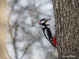 SONY - FE 100-400MM F4.5-5.6 GM OSS