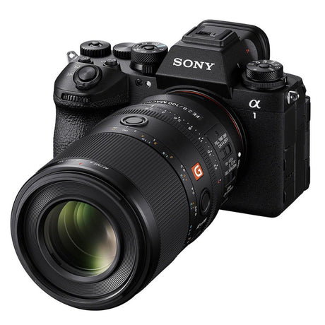 SONY - SEL FE 100/2,8 GM MACRO