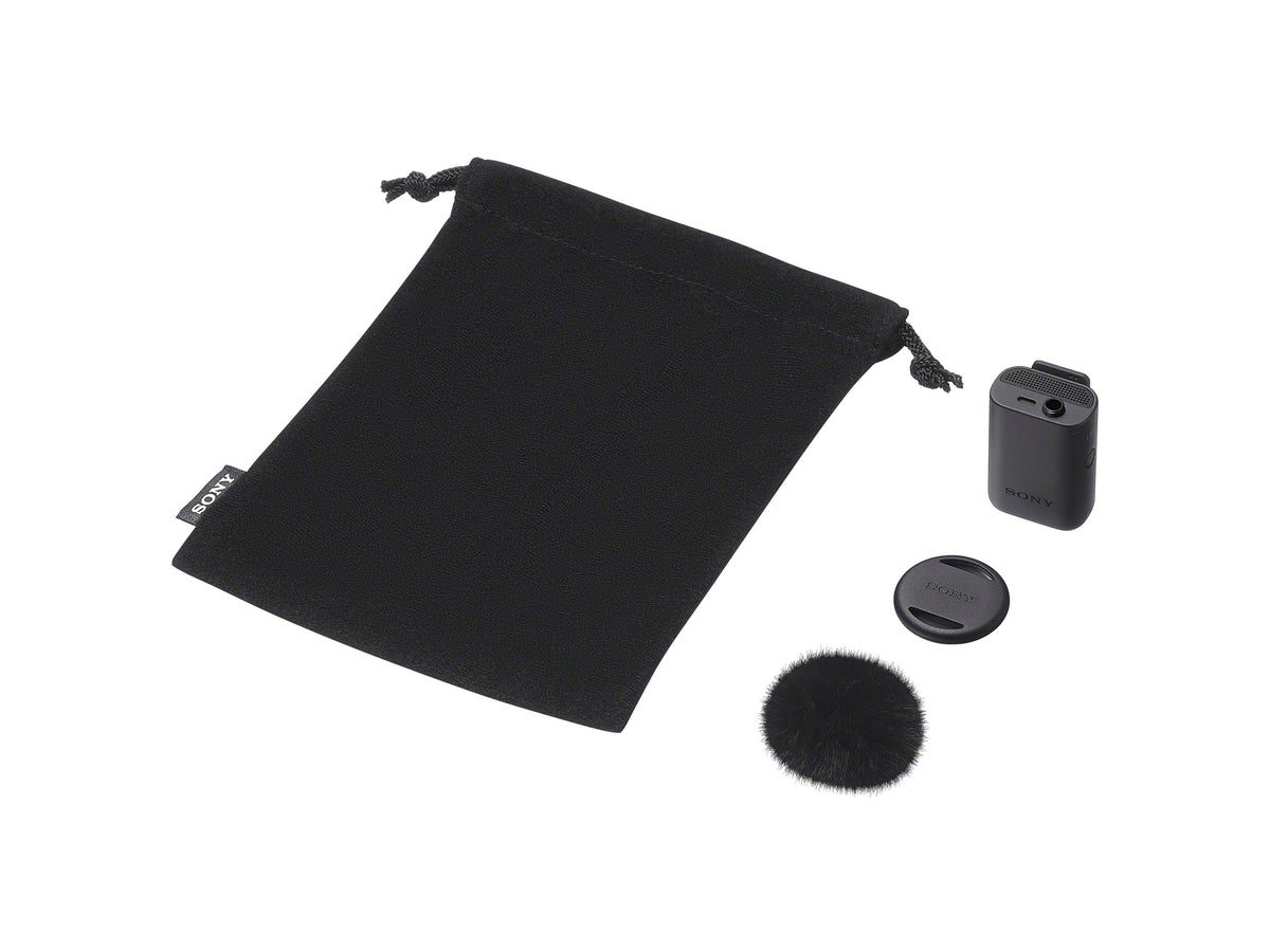Sony - ECM-W5