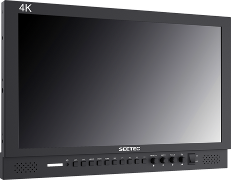 FEELWORLD - P173-9HSD MONITEUR 17.3"