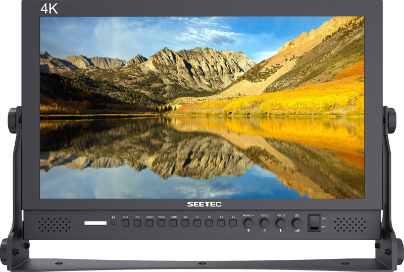 FEELWORLD - P173-9HSD MONITEUR 17.3"