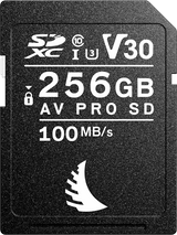 Carte SD AV PRO UHS-II 256GB V30