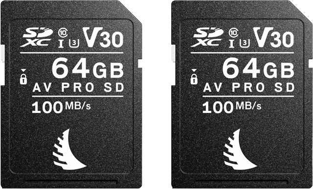 Angelbird MatchPack for Canon AV PRO SD V30 64 GB | 2 PACK
