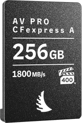 Carte CFexpress AV PRO Type A 256GB