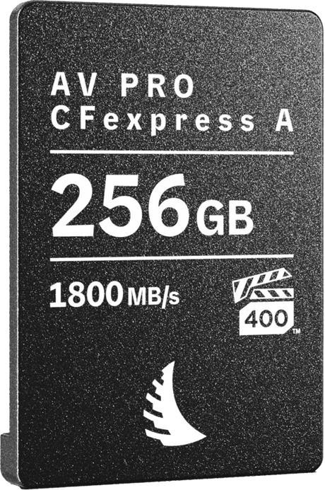 Carte CFexpress AV PRO Type A 256GB