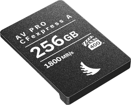 Carte CFexpress AV PRO Type A 256GB