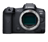 CANON EOS R5+RF 24-105mm f/4 L IS USM