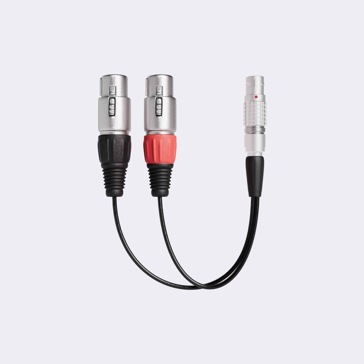 ATOMOS - XLR Breakout Cable (in / out)