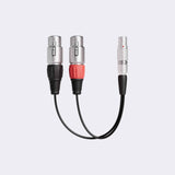 ATOMOS - XLR Breakout Cable (in / out)
