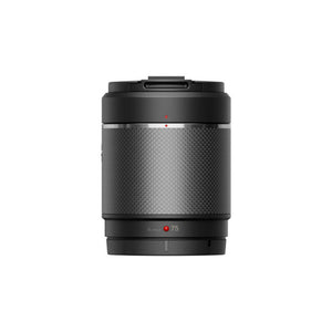 Monture DL