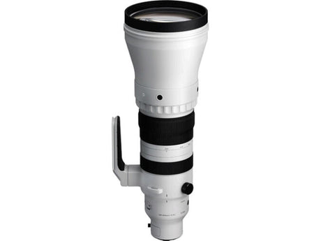 Sigma 300-600mm f/4 DG OS Sports monture L