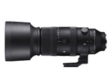 Sigma 60-600mm f/4.5-6.3 DG DN OS Sports monture Sony E