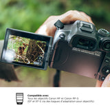Canon EOS R7 – Appareil Photo Hybride APS-C 32,5MP Ultra Réactif