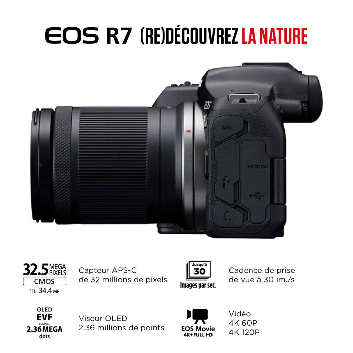 Canon EOS R7 – Appareil Photo Hybride APS-C 32,5MP Ultra Réactif