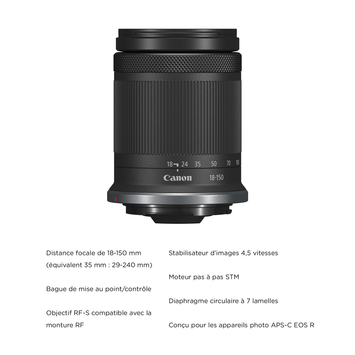 Canon EOS R7 – Appareil Photo Hybride APS-C 32,5MP Ultra Réactif