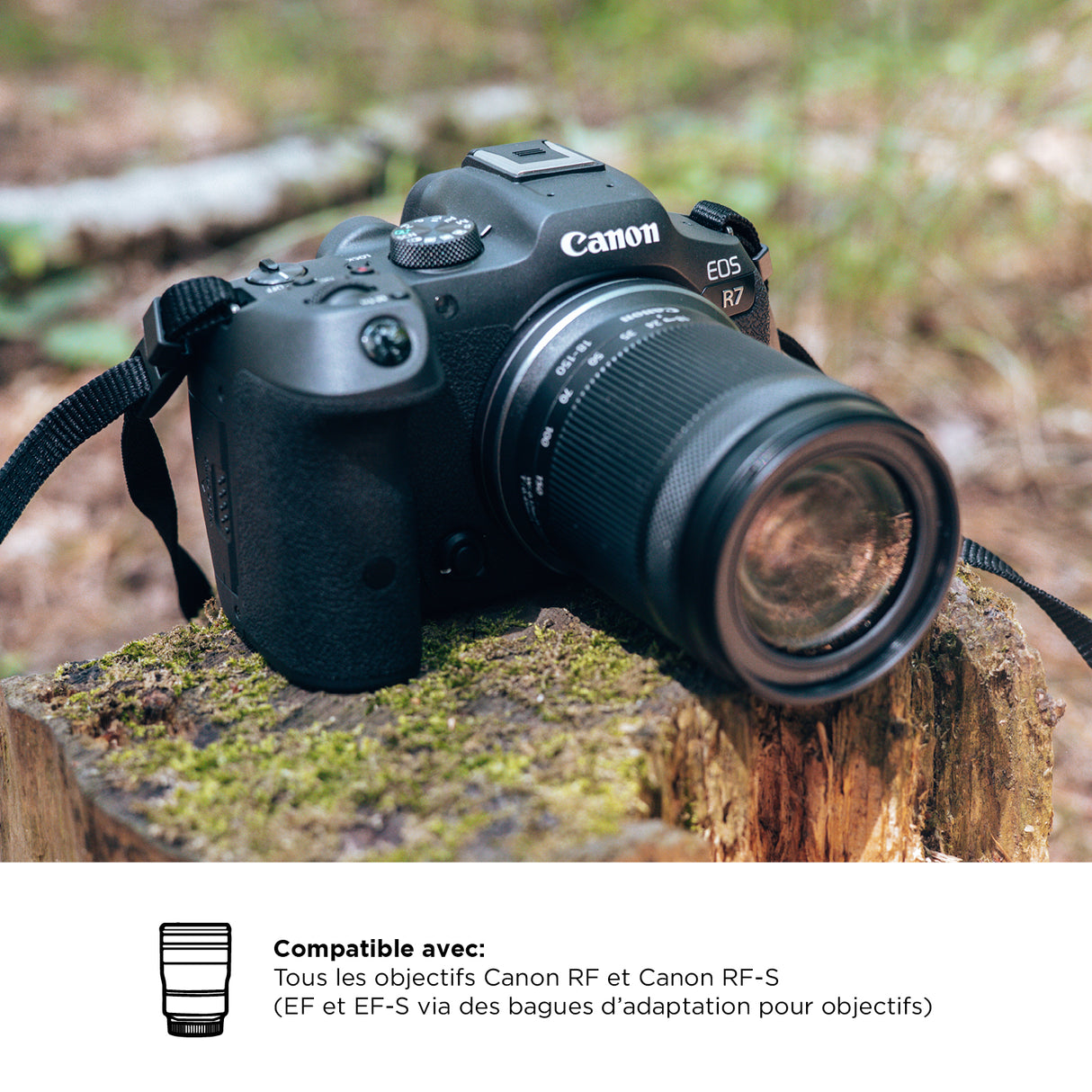 Canon EOS R7 – Appareil Photo Hybride APS-C 32,5MP Ultra Réactif