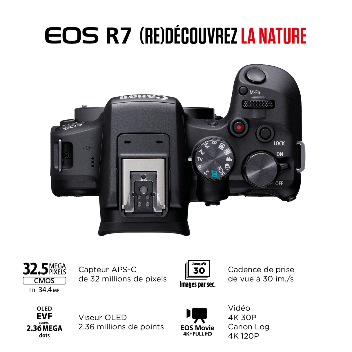 Canon EOS R7 – Appareil Photo Hybride APS-C 32,5MP Ultra Réactif