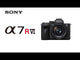 SONY - ALPHA 7R VI