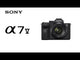 SONY - ALPHA 7V