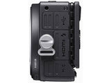 Sigma fp L