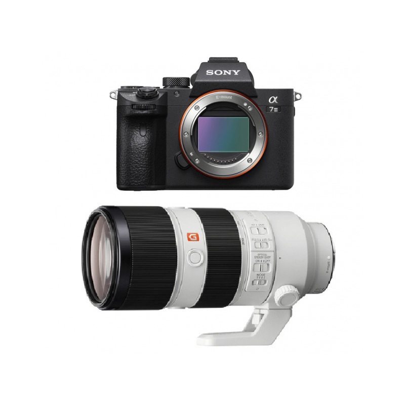 Sony Alpha a7III with Sony Zeiss 70-200mm GM Optique